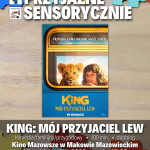 Plakat filmu pod tytułem KING: MÓJ PRZYJACIEL LEW